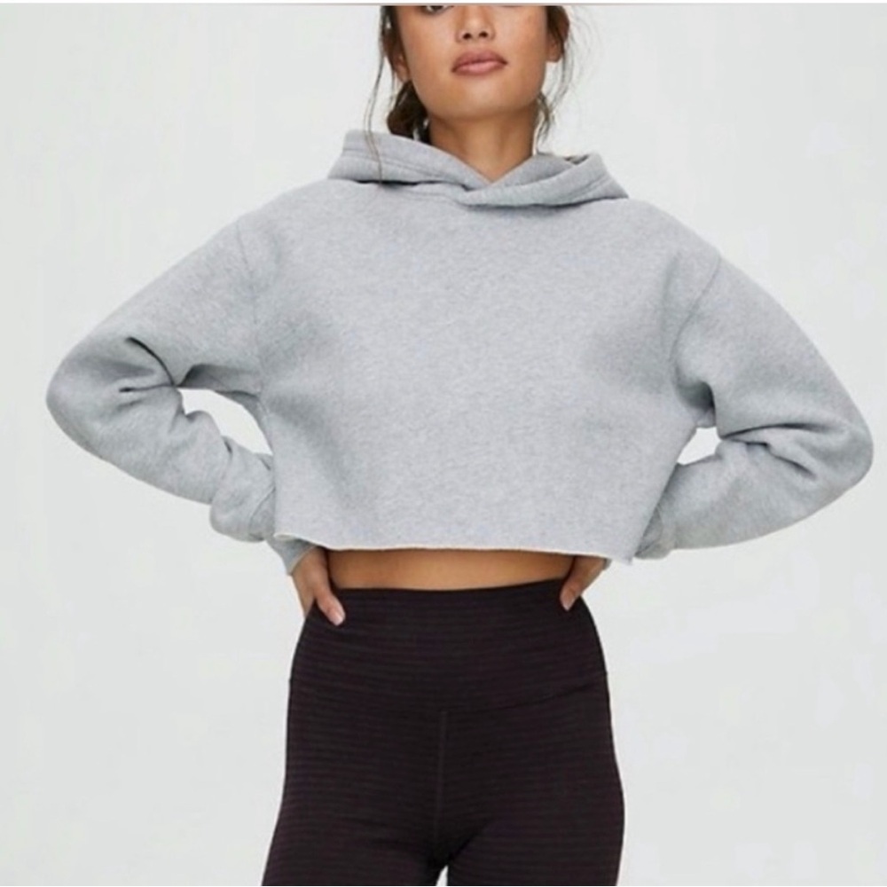 Aritzia TNA Grey Perfect Cropped Hoodie
